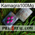 Kamagra100Mg 38